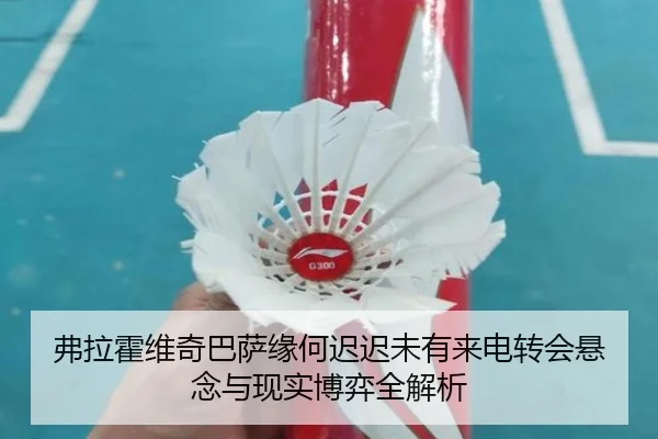 弗拉霍维奇巴萨缘何迟迟未有来电转会悬念与现实博弈全解析